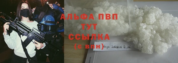 СК Покров