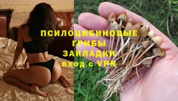 СК Покров