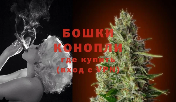 СК Покров