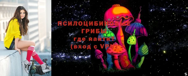 СК Покров