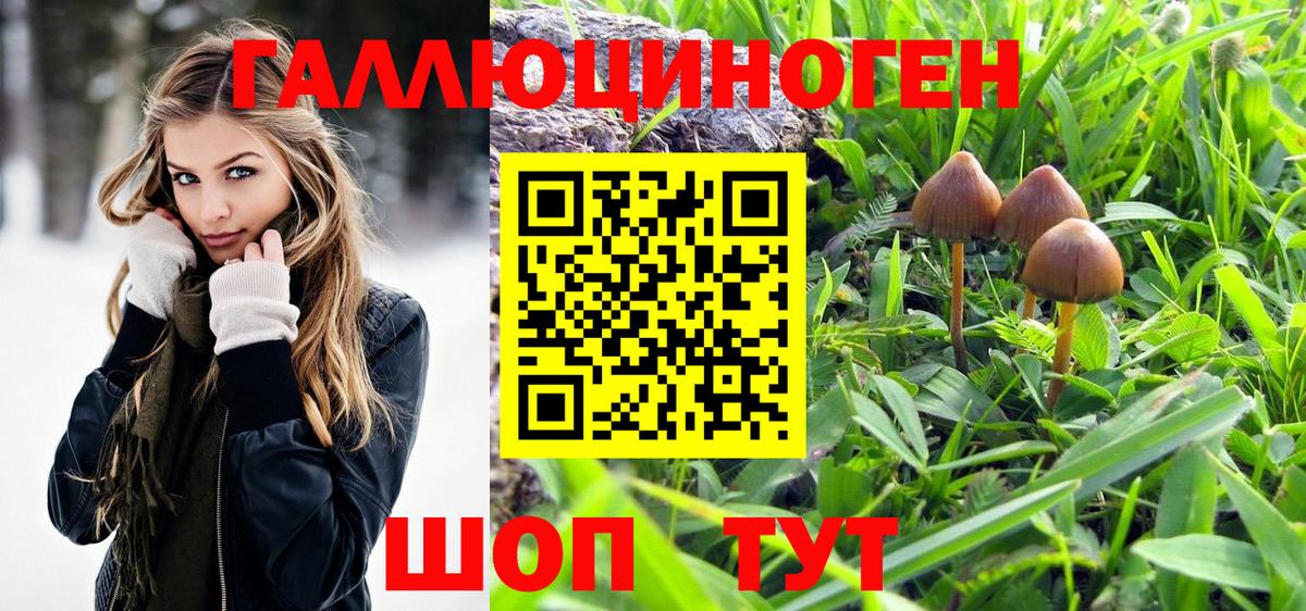 Тула  Псилоцибиновые грибы GOLDEN TEACHER  Вход с VPN 
