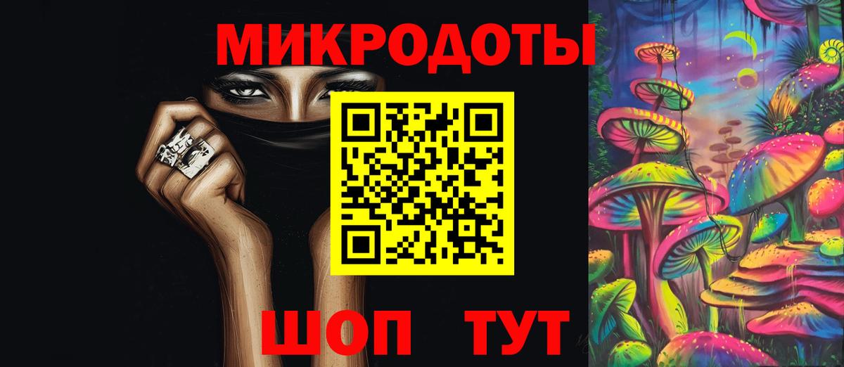 Псилоцибиновые грибы Psilocybe Тула